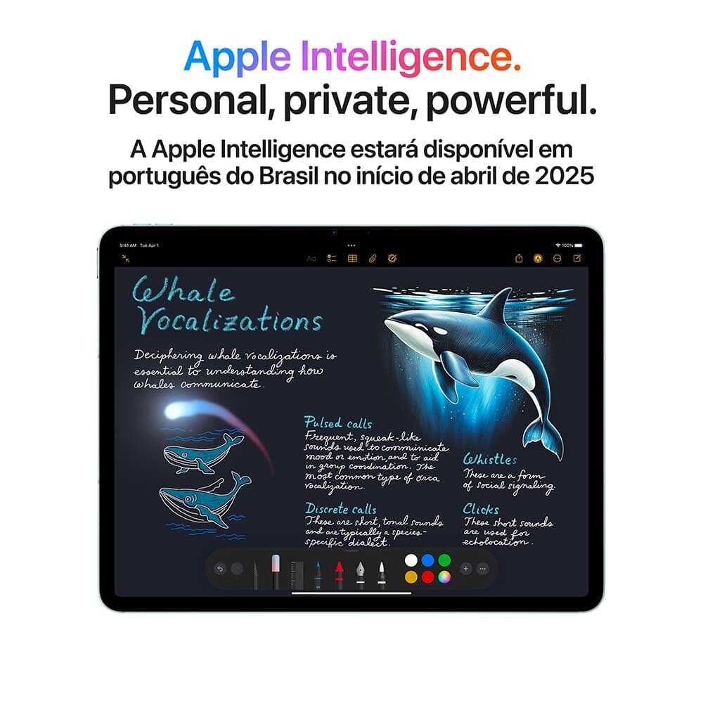 iPad Air Apple 13