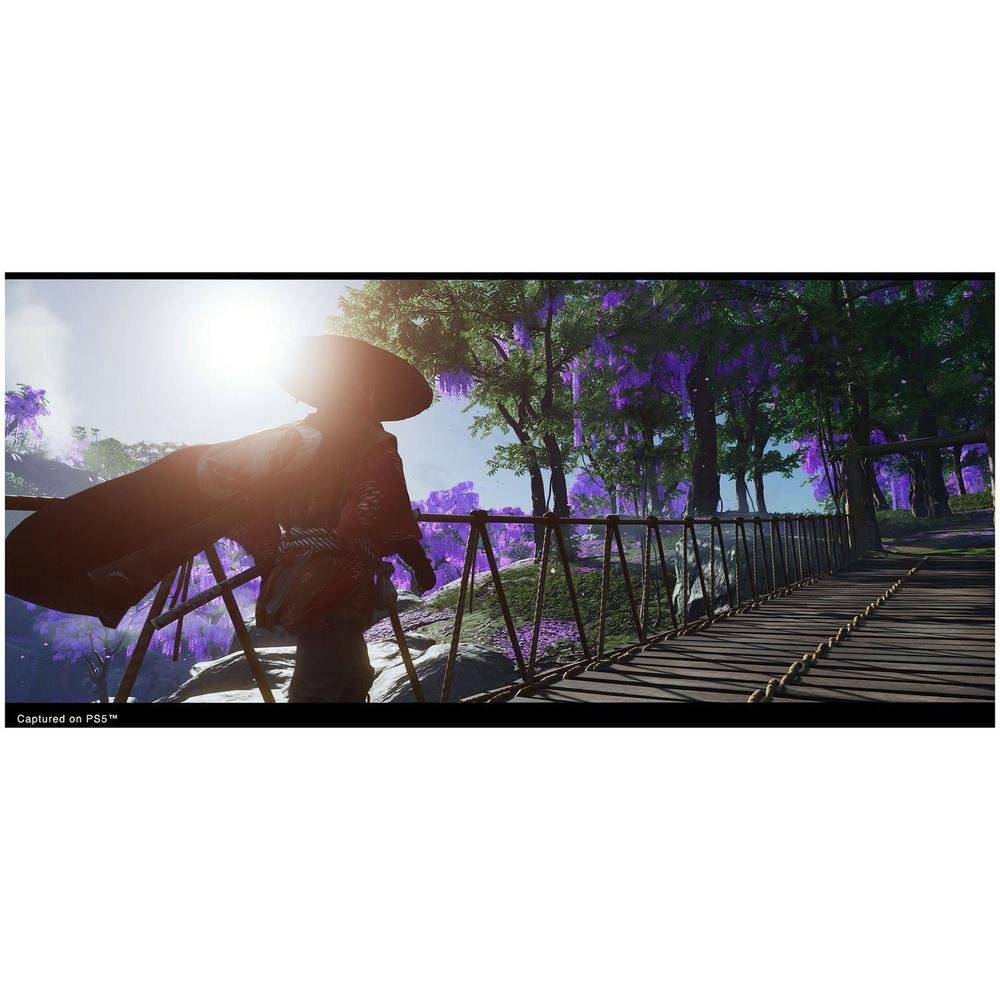 Jogo Ghost Of Tsushima (versão Do Diretor) - Ps5.