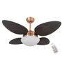 Ventilador Volare P Palmae 110v E Controle Remoto