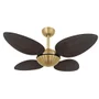 Ventilador De Teto Volare Office Petalo Palmae 220v